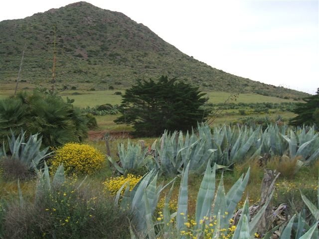 dscf3703.jpg