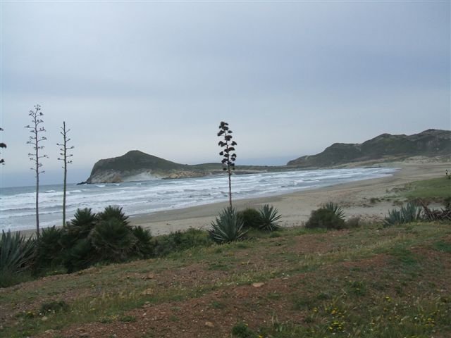 dscf3706.jpg