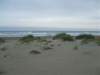 dscf3730_small.jpg