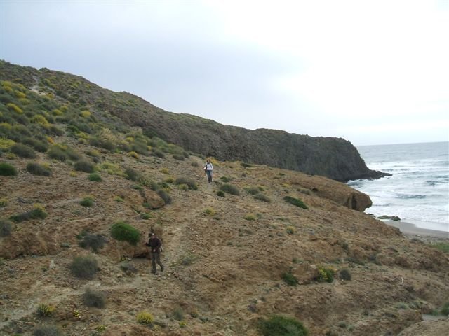 dscf3782.jpg
