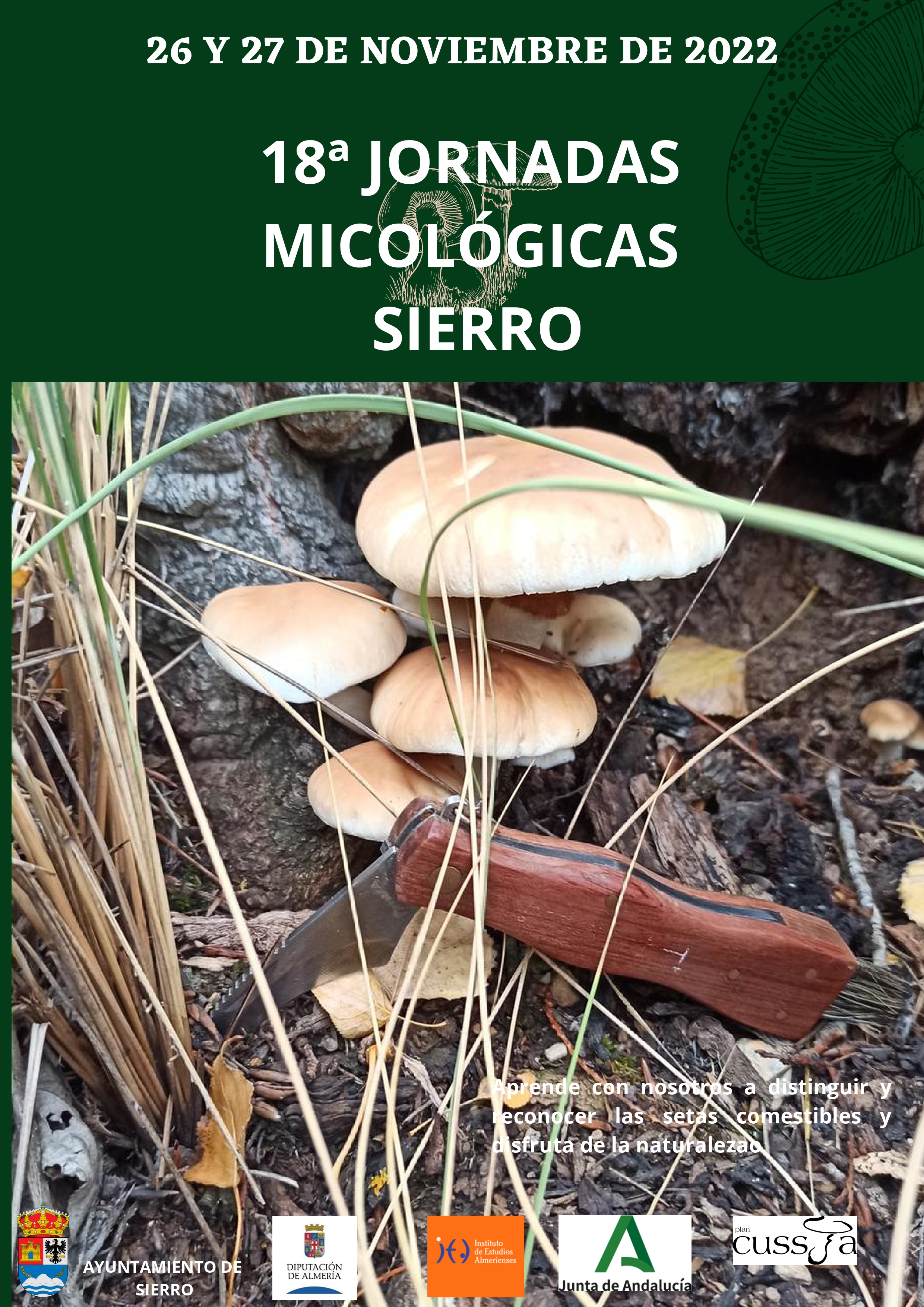 Cartel Jornadas Micologicas